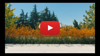 Getting Started by Boosted - Remote Tips